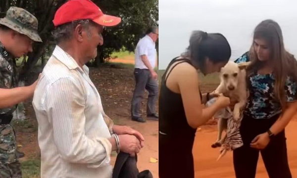 Diana Camarasa salva a perra víctima de zoofilia, detienen a violador en Repatriación - OviedoPress