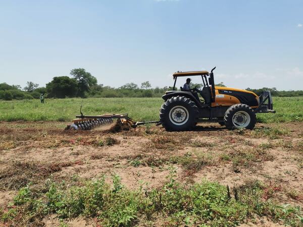 Tras las primeras lluvias reactivan producción en comunidades indígenas del Chaco