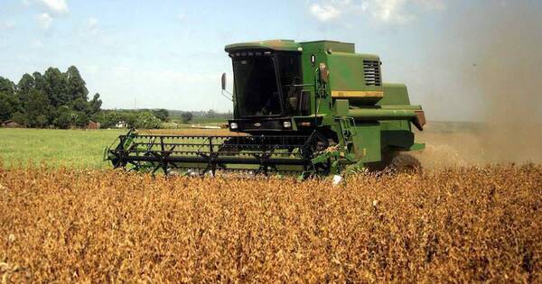La Nación / Pérdidas en la cosecha podrían llegar a US$ 3.600 millones
