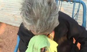 Abuelita en cautiverio fue rescatada por vecinos en Luque – Prensa 5