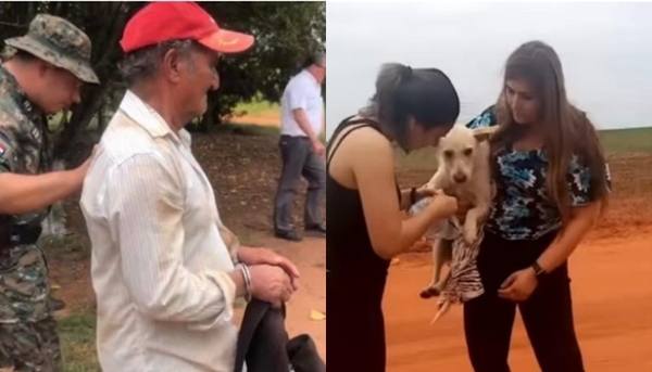 Diana Camarasa rescató a una perrita víctima de zoofilia - Teleshow