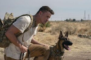 Channing Tatum: “Ahora que me hago mayor disfruto más haciendo cine” - Cine y TV - ABC Color