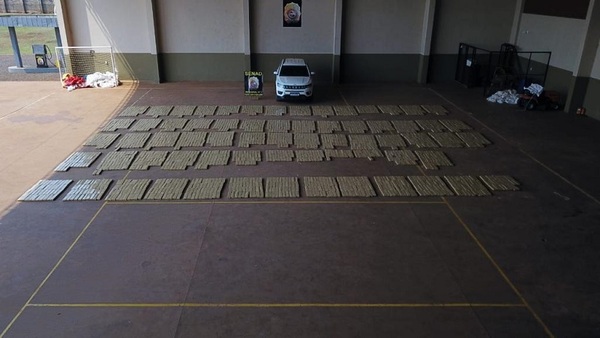 SENAD detectó 3 toneladas de marihuana ocultas en una fosa