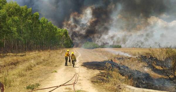 La Nación / Arde Ayolas: bomberos reportan 10 incendios en la zona y están desesperados