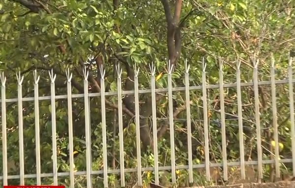 Supuesto ladrón intentó entrar a una casa y murió electrocutado en Lambaré