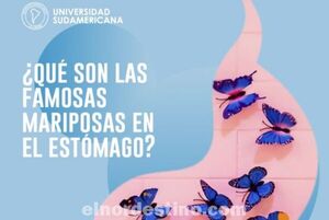Universidad Sudamericana nos explica qué son las famosas “mariposas que sentimos en el estómago”