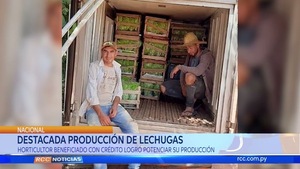 DESTACAN PRODUCCIÓN DE LECHUGAS