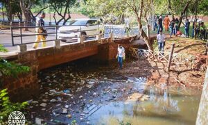 Municipalidad de CDE replica intensa mingaambiental en torno al Lago de la República – Diario TNPRESS