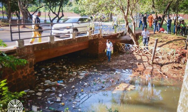 Municipalidad de CDE replica intensa mingaambiental en torno al Lago de la República – Diario TNPRESS