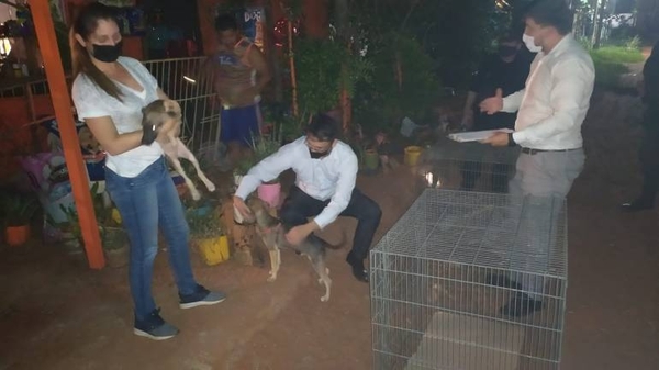 Diario HOY | Anciana torturada y encerrada con 14 perros en Luque: imputan a la hija y a dos personas