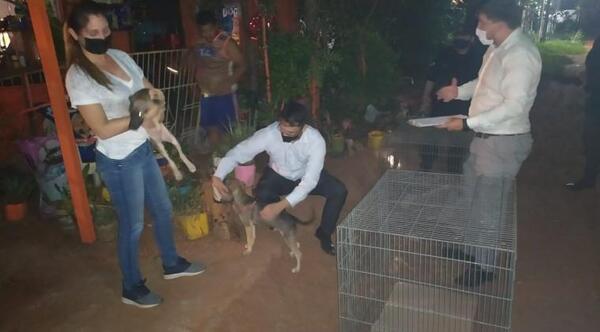 Imputan a la hija de anciana y a dos personas más, por tortura y encierro de abuelita con 14 perros en Luque – Prensa 5