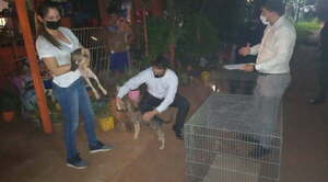 Anciana torturada y encerrada con 14 perros en Luque - Noticiero Paraguay