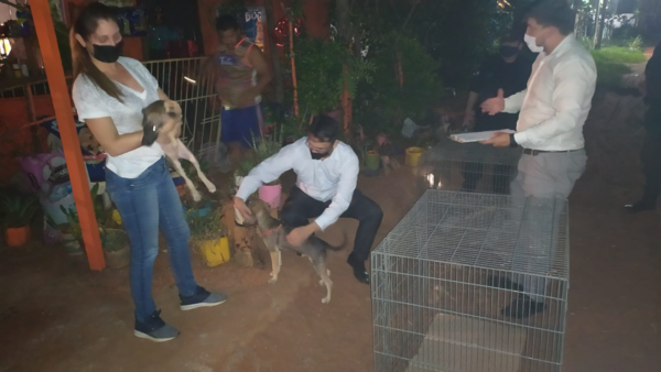 Rescatan a sexagenaria maltratada y encerrada con 16 perros
