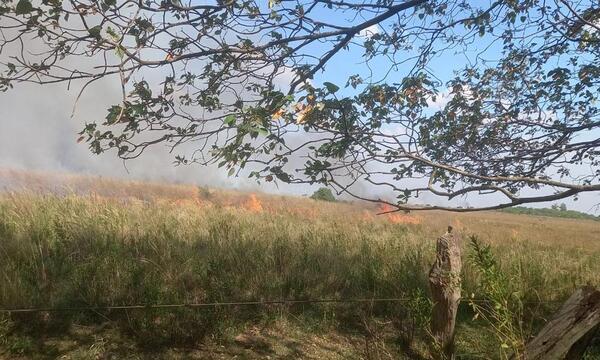 Incendio consume unas 100 hectáreas de pastizal en San José de los Arroyos – Prensa 5