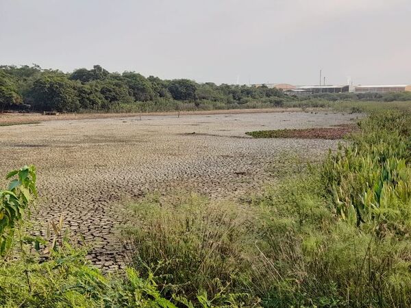 Sequía afecta a Laguna Cerro y vecinos piden intervención del MADES para limpieza de desechos  - Contacto Ciudadano - ABC Color