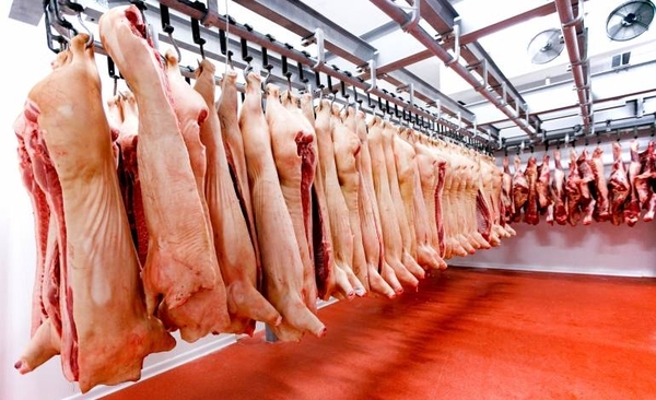 Diario HOY | Futuro frigorífico porcino moverá la economía de Canindeyú