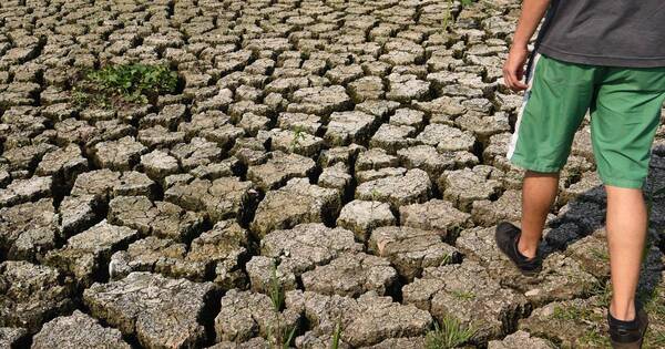 La Nación / Laguna Cerro: de la contaminación a la sequía - OJO Galería