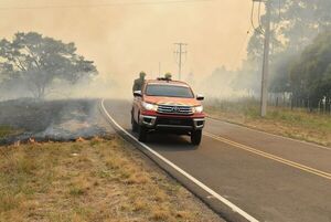 Inician trabajo preventivo contra incendio forestales en Ayolas - Nacionales - ABC Color