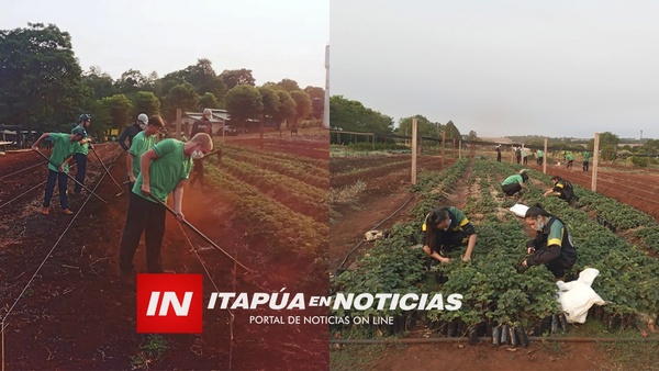 ESCUELAS AGRÍCOLAS DENUNCIAN MILLONARIO RECORTE DESDE EL MAG - Itapúa Noticias