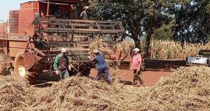 La Nación / Productores campesinos piden asistencia por 6 meses por emergencia agropecuaria