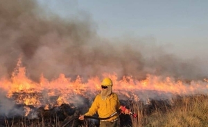 Diario HOY | Incendios sin freno consumen un 9 % de la provincia argentina de Corrientes