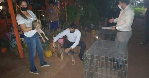 La Nación / Imputan a hija por encerrar a anciana