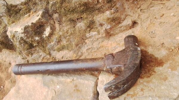 Denuncian a un hombre por matar con un martillo a un perro en Villa Elisa - Nacionales - ABC Color