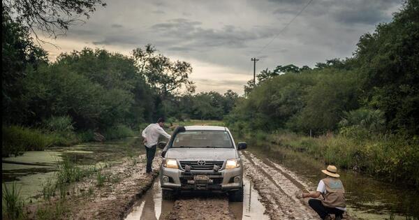 Con el fin de proteger el chaco americano, presentarán mecanismo de sustentabilidad