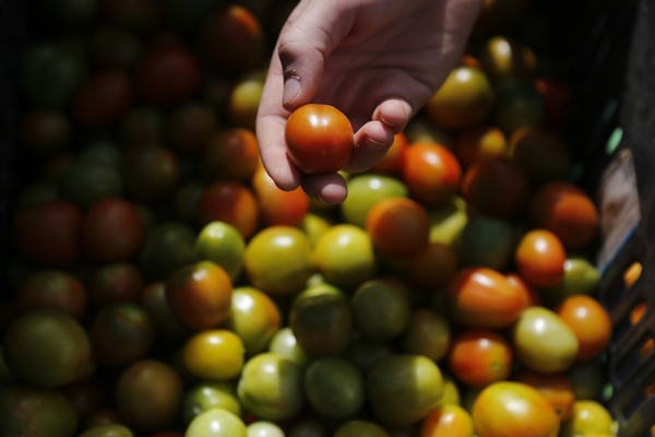 Las exportaciones agroalimentarias de México rompen récord en 2021 - MarketData