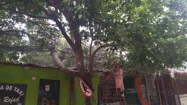Maraña de cables se incendia en microcentro de CDE - La Clave