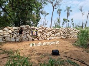 Senad decomisa 18 toneladas de marihuana picada en un inmueble rural