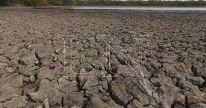 La Nación / El clima perjudica cultivos de soja y maíz