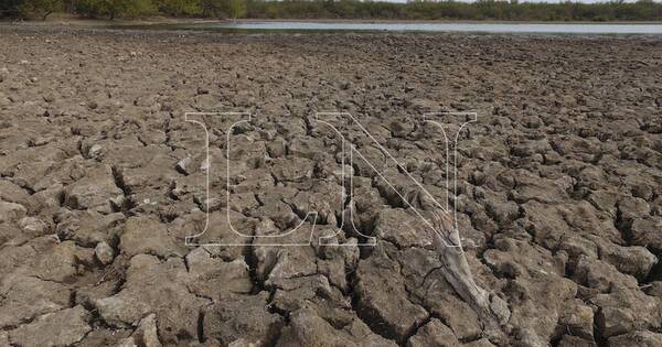 La Nación / El clima perjudica cultivos de soja y maíz