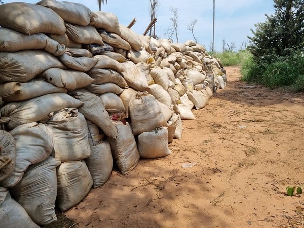 SENAD detectó 18 Mil Kilos de Marihuana ocultos en una fosa