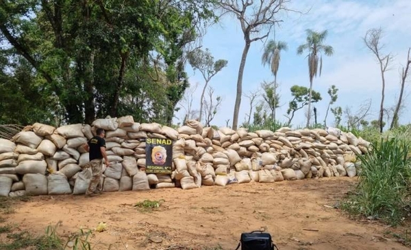 Diario HOY | Detectan 18mil kilos de marihuana en zona Trabuco