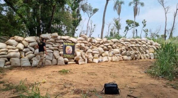 Incautan 18 mil kilos de marihuana en Capitán Bado