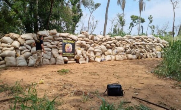 Encuentran más de 18 toneladas de marihuana enterradas en una fosa