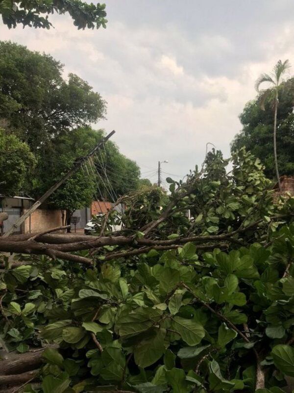 Fuertes vientos afectan a 27 líneas de la ANDE en Central