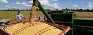 Paraguay podría importar soja ya que la producción nacional acabaría a mediados de año, indican