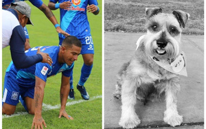 Crónica / [VIDEO] Pelotero marcó un gol y le dedicó a su perrito fallecido