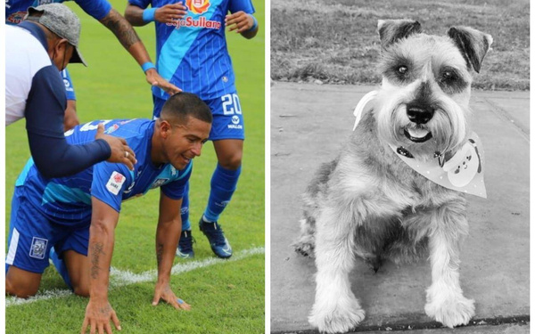 Crónica / [VIDEO] Pelotero marcó un gol y le dedicó a su perrito fallecido