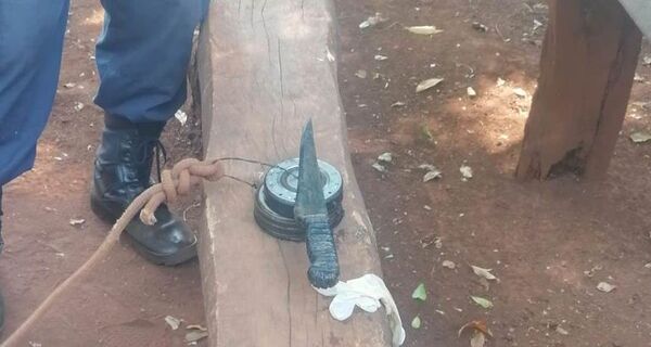 Hallan presunta arma homicida en San Alberto - ABC en el Este - ABC Color