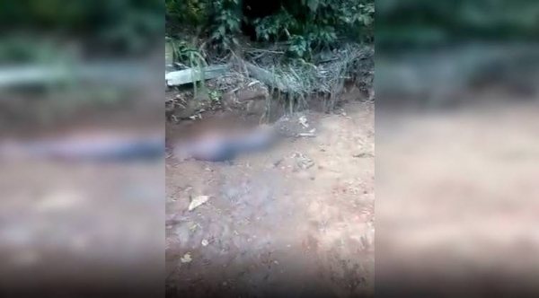 Diario HOY | Fosa con animales muertes: directora del Zoológico aclara que no hay irregularidades