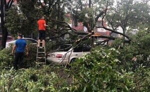Fuerte temporal causó destrozos en el barrio San José
