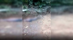 Diario HOY | Fosa con animales muertos: directora del Zoológico aclara que no hay irregularidades