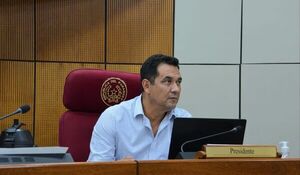 Interna colorada: senador afirma que Santiago Peña ya es “inatajable” - ADN Digital