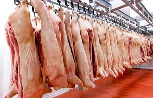 Abren mesa de diálogo para exportar carne porcina a Taiwán