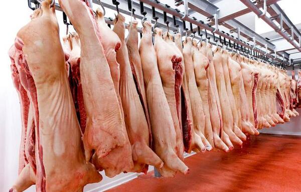 Abren mesa de diálogo para exportar carne porcina a Taiwán