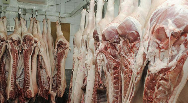 Esperan un gran impacto con la instalación de un frigorífico porcino en Canindeyú