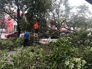 Fuerte temporal destechó comisaría, derribó árboles y dejó sin energía a varios sectores en CDE
